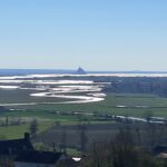 Homepage MSM von Ferne hinzu